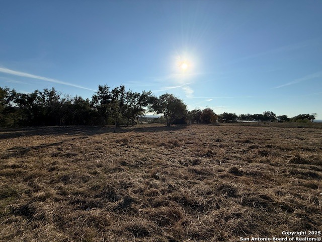 659 Butler Oaks Bulverde, TX 78163 - Photo 22 of 30