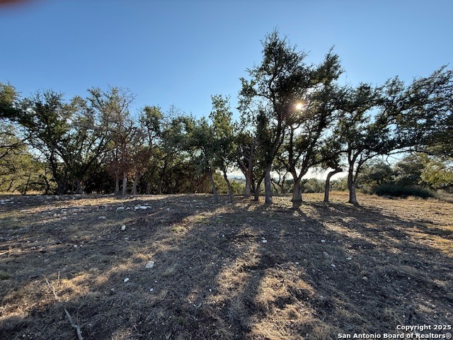 659 Butler Oaks Bulverde, TX 78163 - Photo 24 of 30