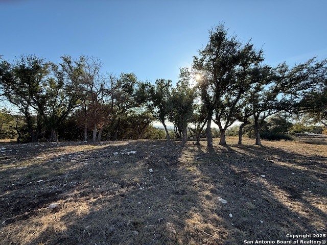 659 Butler Oaks Bulverde, TX 78163 - Photo 25 of 30