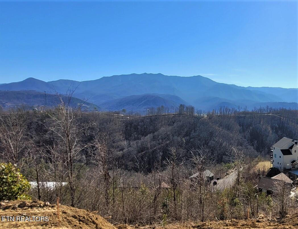 736 Village Loop Road Gatlinburg, TN 37738 - Photo 11 of 34 736 VLR View 1