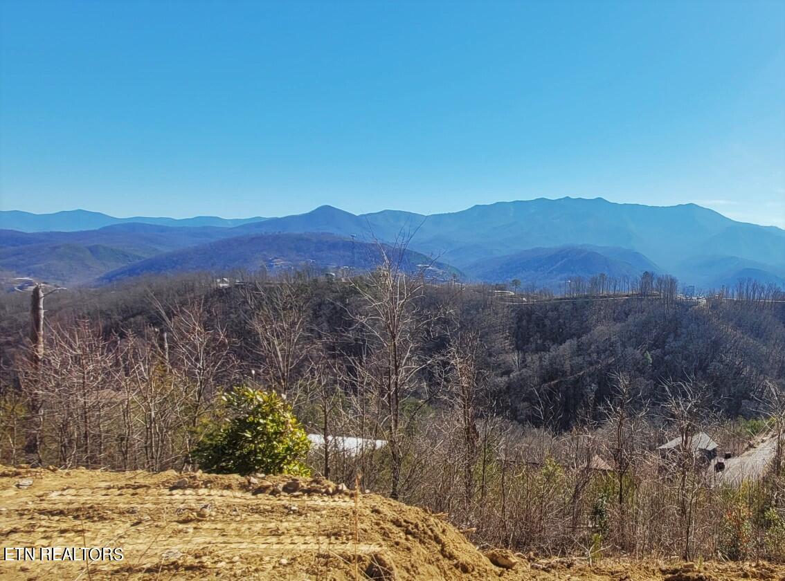 736 Village Loop Road Gatlinburg, TN 37738 - Photo 20 of 34 736 VLR View 2