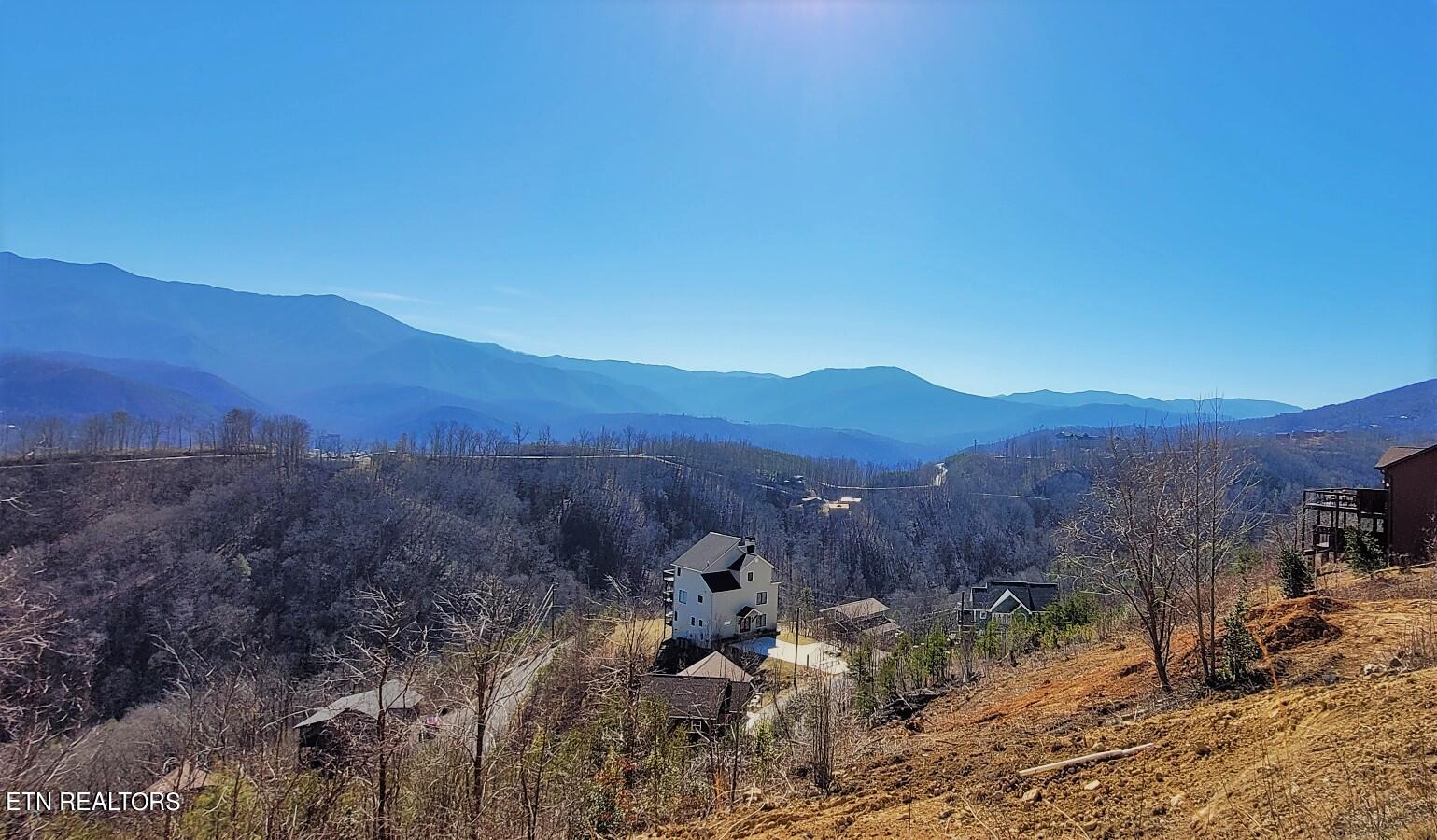 736 Village Loop Road Gatlinburg, TN 37738 - Photo 21 of 34 736 VLR View 3