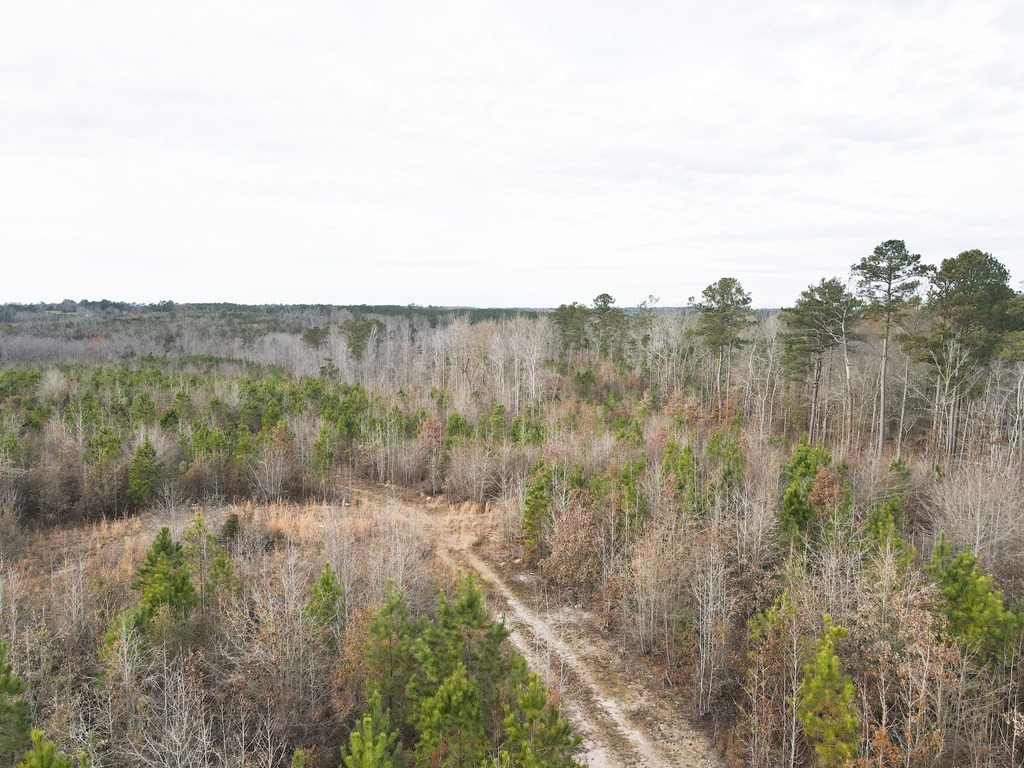 0 Heard Road Tignall, GA 30668 - Photo 2 of 3