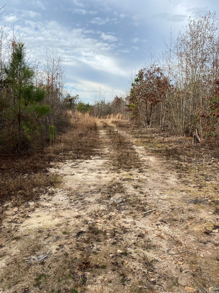 0 Heard Road Tignall, GA 30668 - Photo 3 of 3