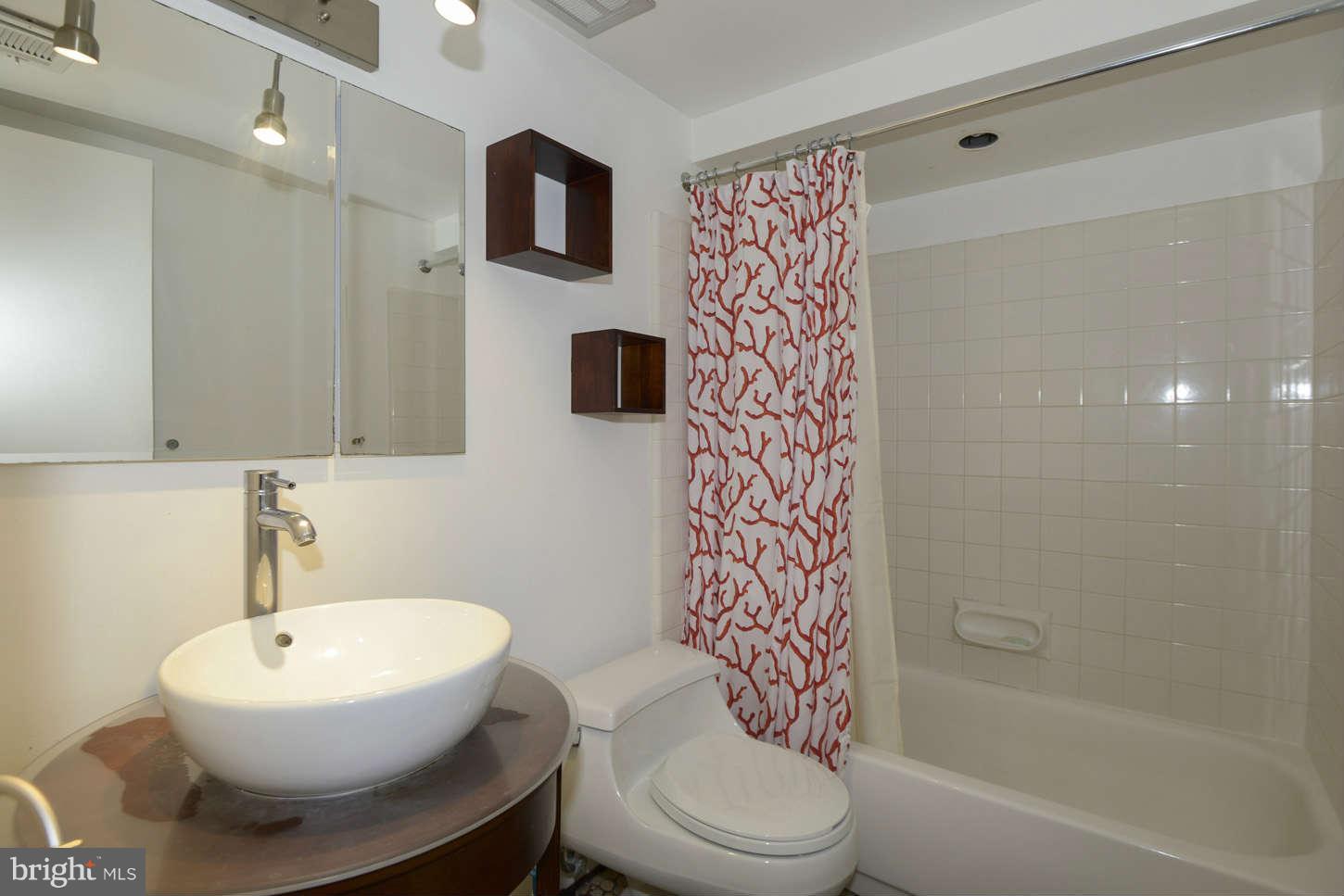 9006 Blue Pool Columbia, MD 21045 - Photo 14 of 22 Bath