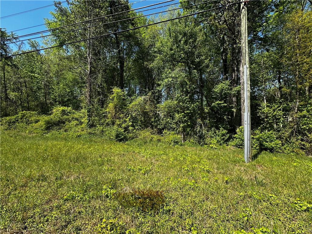 0 Hiram Sudie Road Hiram, GA 30141 - Photo 11 of 20 a view of a garden