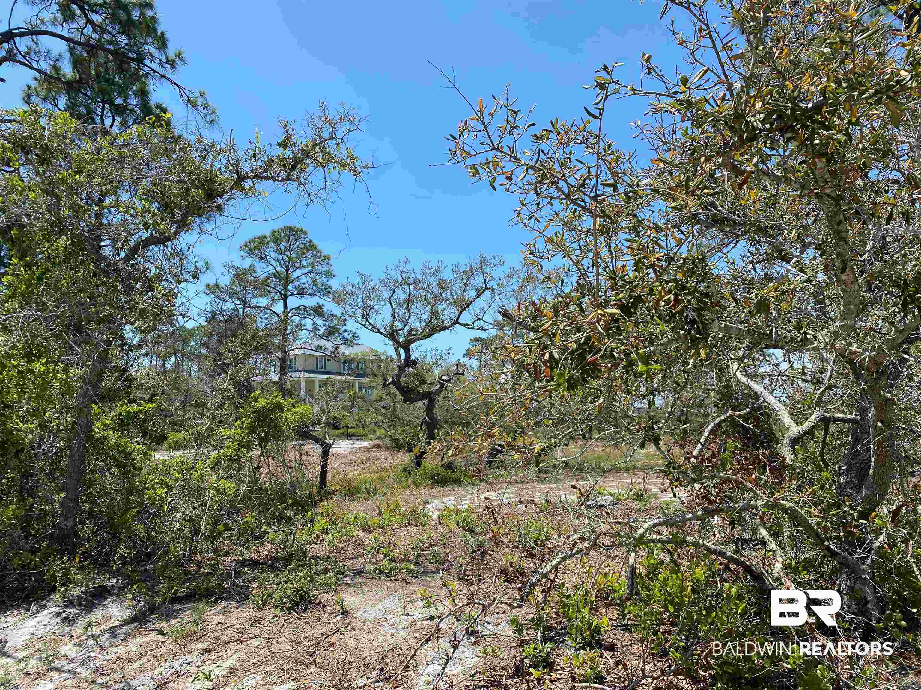 Tbd River Road Pensacola, FL 32507 - Photo 5 of 10