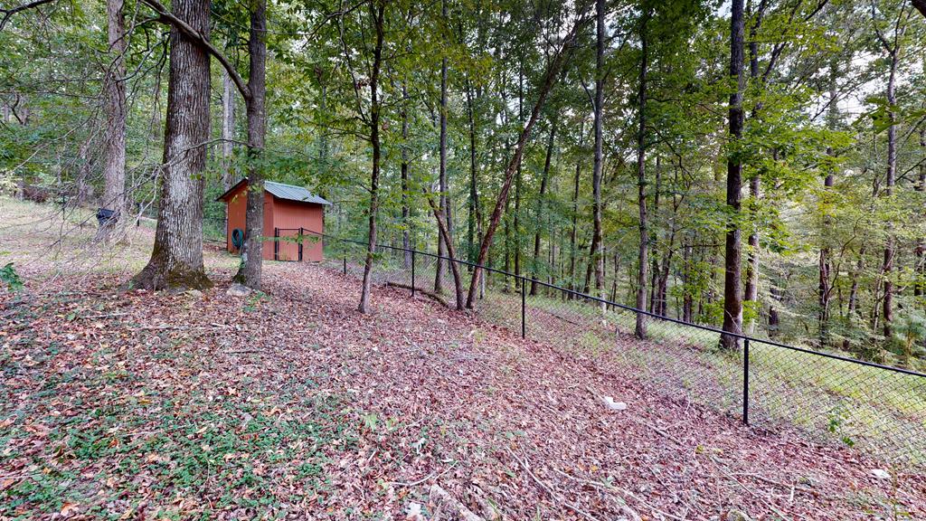 231 Mountain Shadows Road Hamilton, GA 31811 - Photo 48 of 53 Fenced yard