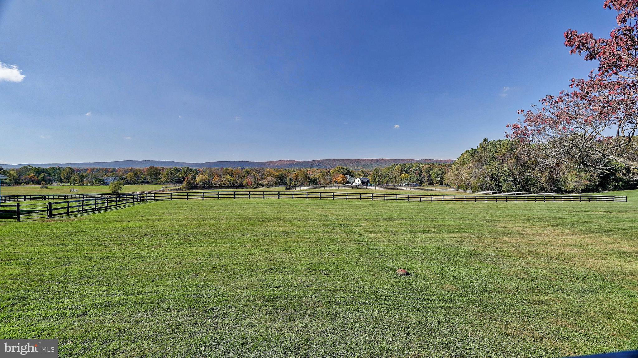 4310 High Ridge Road Haymarket, VA 20169 - Photo 66 of 94 Spacious landscape