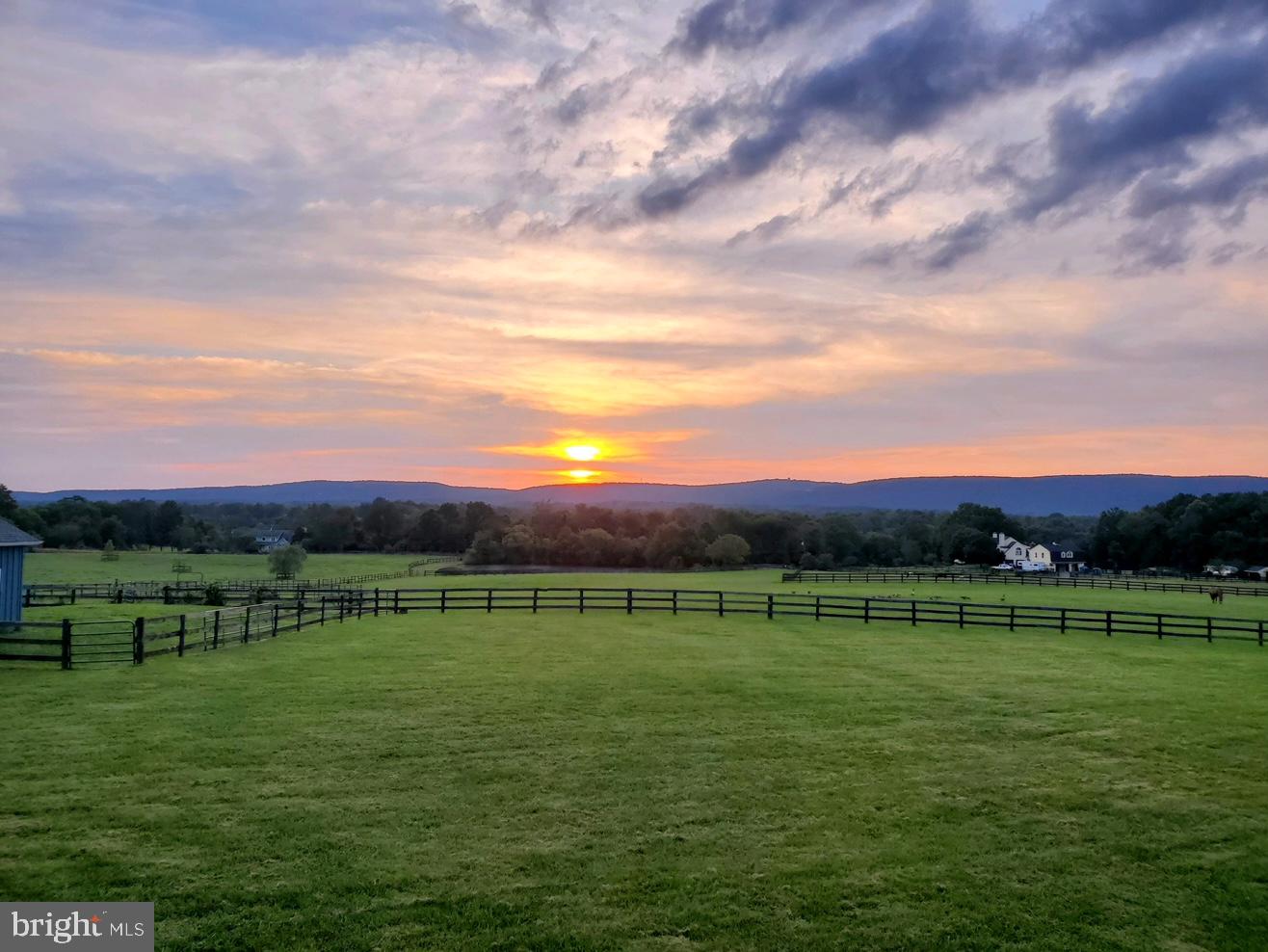 4310 High Ridge Road Haymarket, VA 20169 - Photo 70 of 94 Great Views from Sun Room