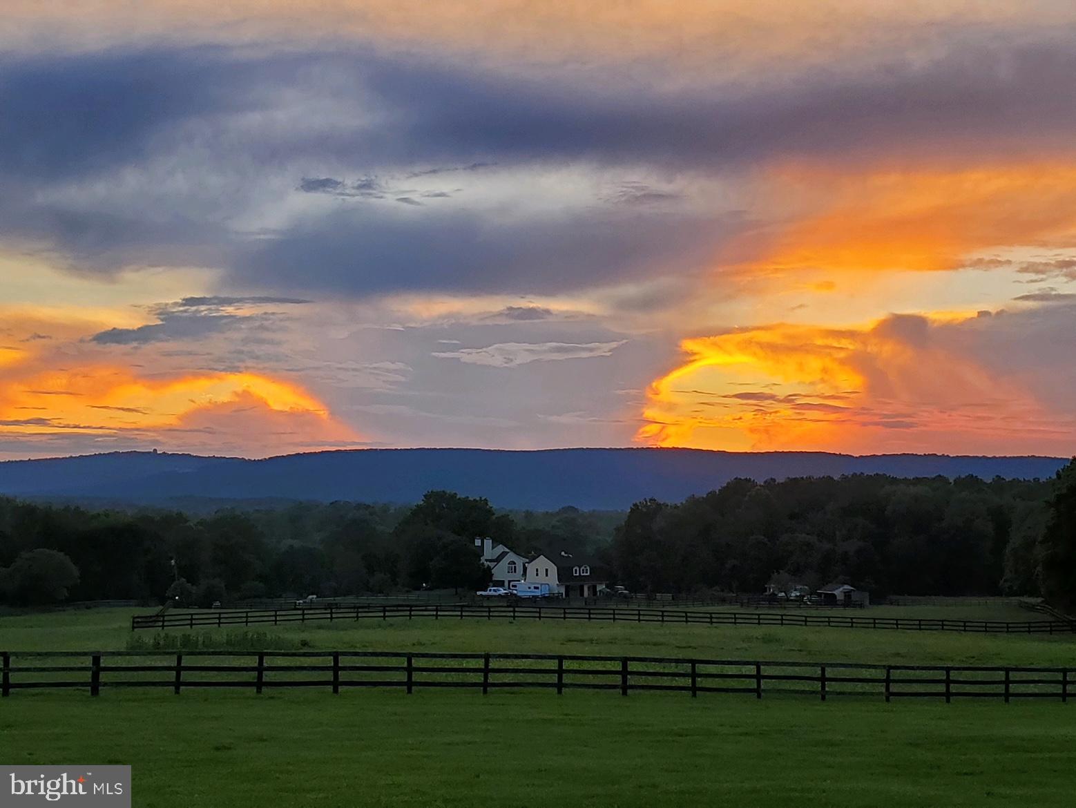 4310 High Ridge Road Haymarket, VA 20169 - Photo 71 of 94 Awesome View from Deck and Screened-In Porch