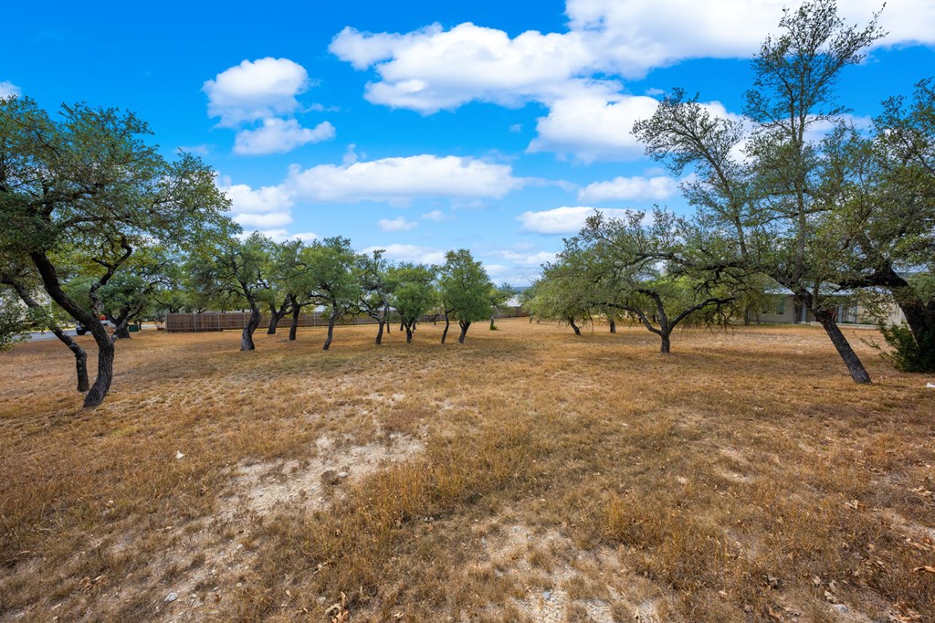 2330 Summit Forest, Unit 280R Fredericksburg, TX 78624 - Photo 3 of 10
