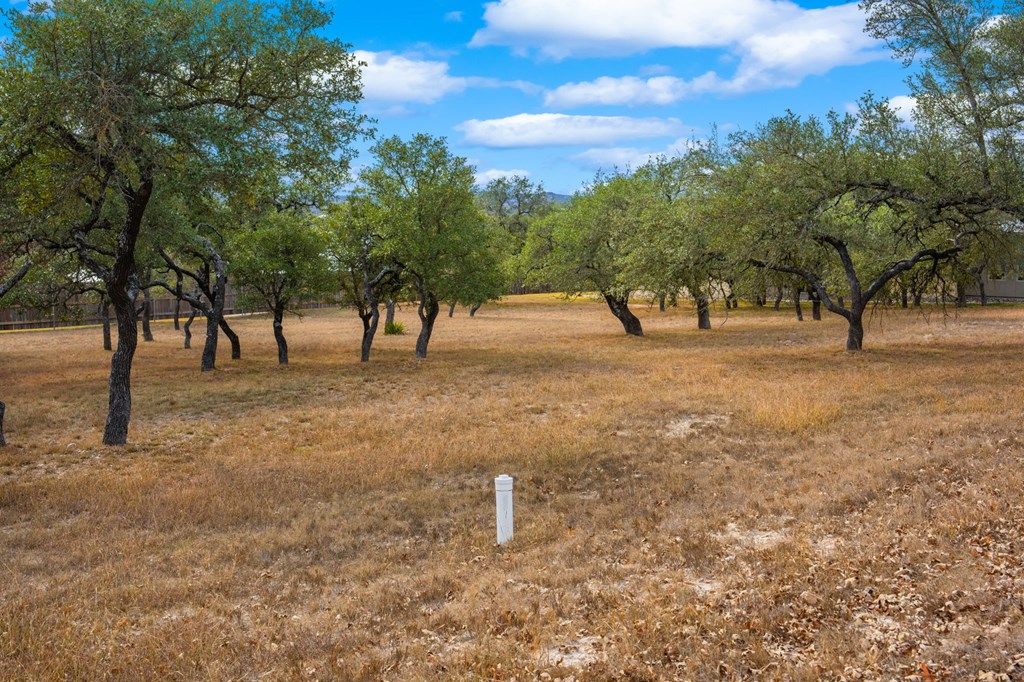 2330 Summit Forest, Unit 280R Fredericksburg, TX 78624 - Photo 4 of 10 a view of open space with trees