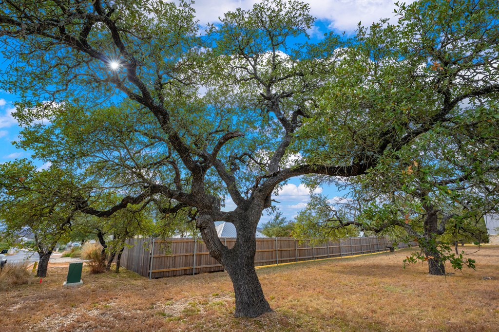 2330 Summit Forest, Unit 280R Fredericksburg, TX 78624 - Photo 5 of 10 a view of outdoor space with trees