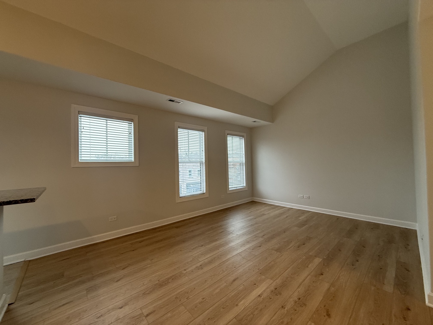 206 West Main Street, Unit 3C St. Charles, IL 60174 - Photo 5 of 13