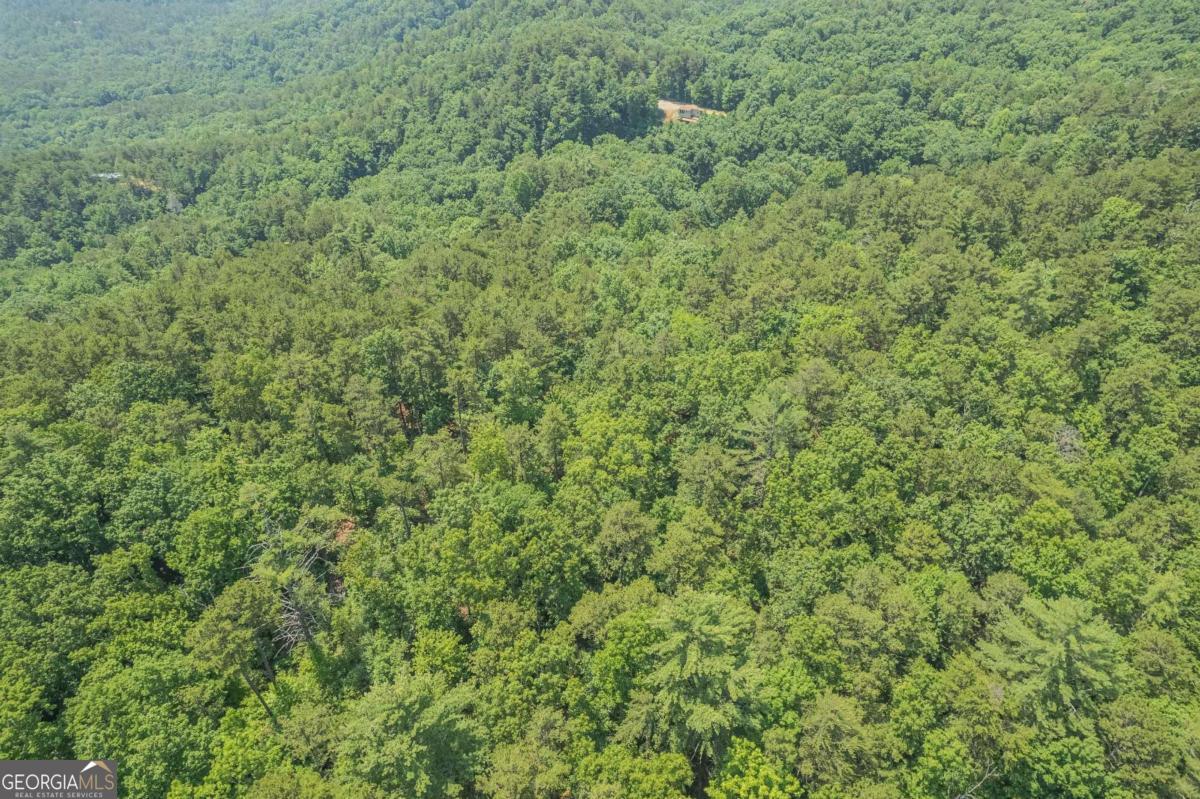 31 Yonah Lake Road Clarkesville, GA 30523 - Photo 19 of 55 a view of a green field