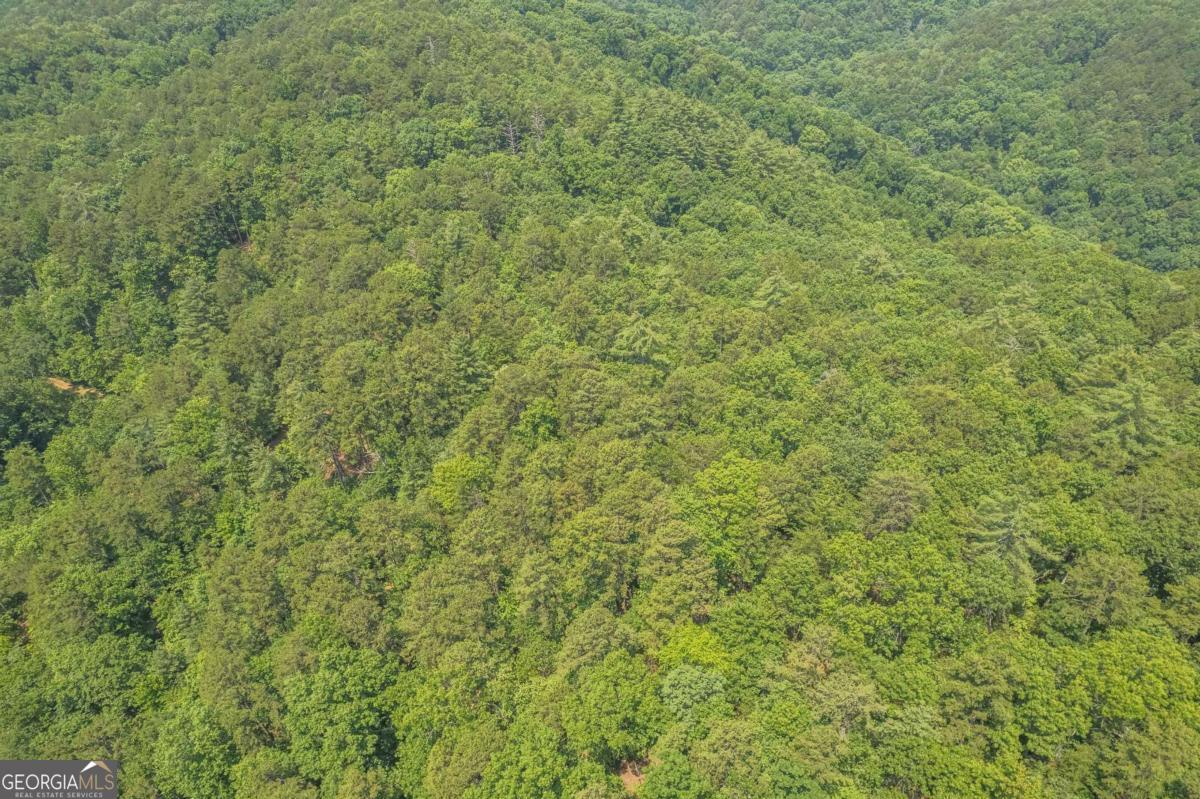 31 Yonah Lake Road Clarkesville, GA 30523 - Photo 20 of 55 a view of a green field