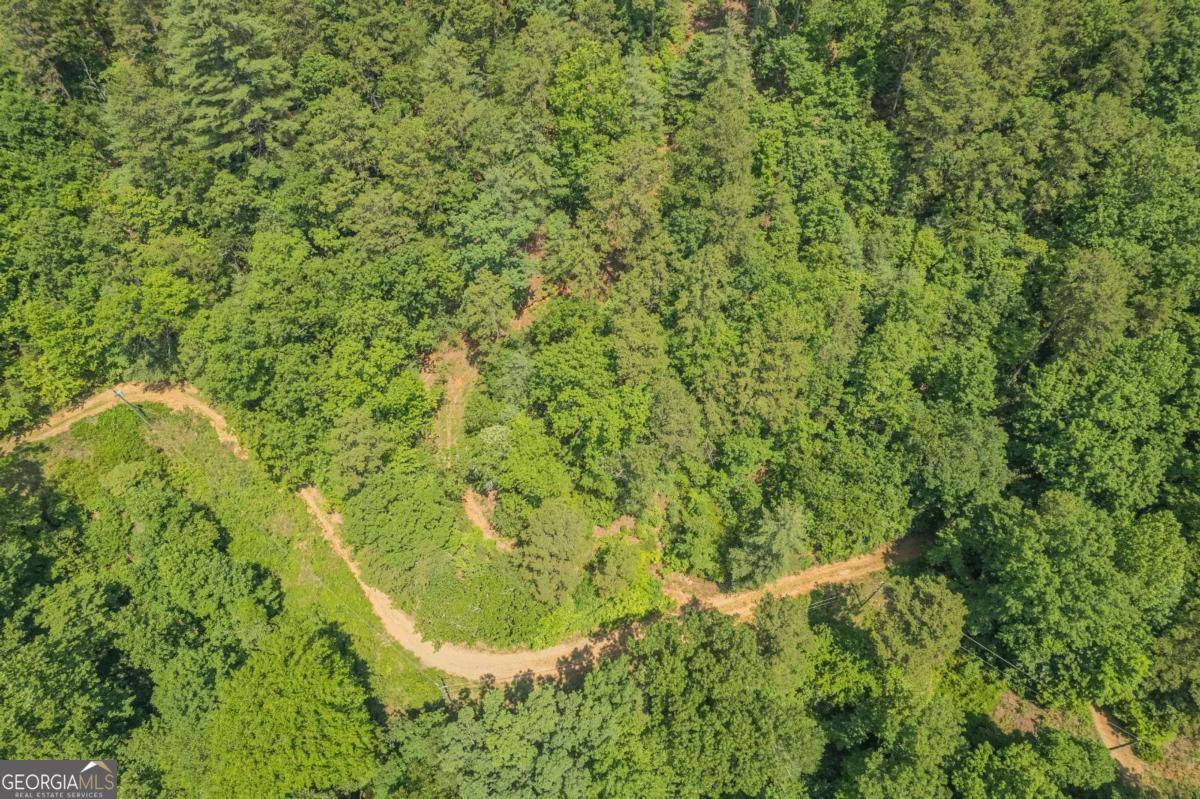 31 Yonah Lake Road Clarkesville, GA 30523 - Photo 22 of 55 a view of a yard