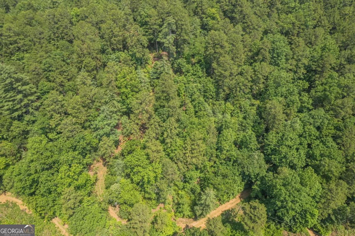 31 Yonah Lake Road Clarkesville, GA 30523 - Photo 23 of 55 a view of a lush green field