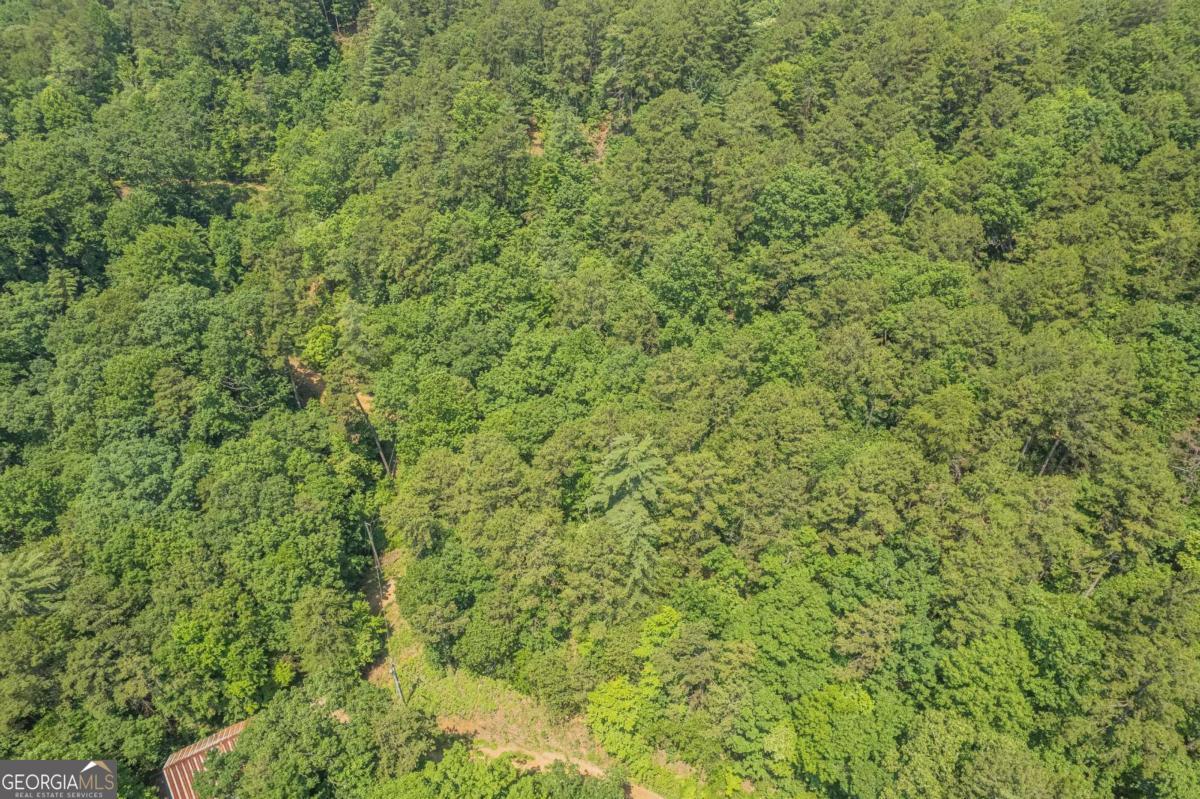 31 Yonah Lake Road Clarkesville, GA 30523 - Photo 24 of 55 a view of a green field
