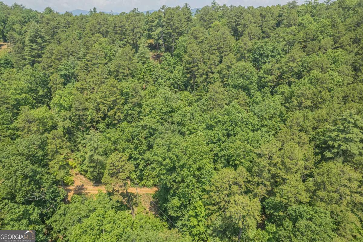 31 Yonah Lake Road Clarkesville, GA 30523 - Photo 27 of 55 a view of a large yard with lots of green space
