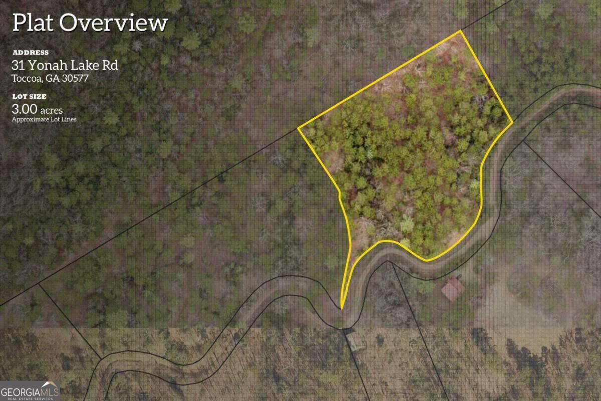 31 Yonah Lake Road Clarkesville, GA 30523 - Photo 3 of 55