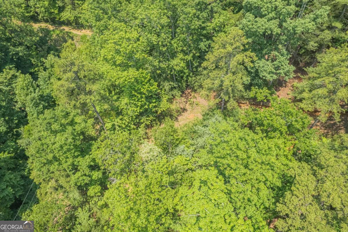 31 Yonah Lake Road Clarkesville, GA 30523 - Photo 34 of 55 a view of a lush green field