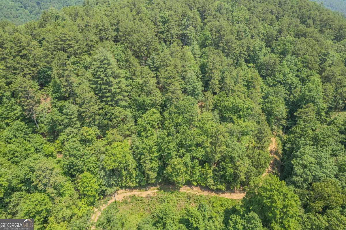 31 Yonah Lake Road Clarkesville, GA 30523 - Photo 40 of 55 a view of a lush green forest