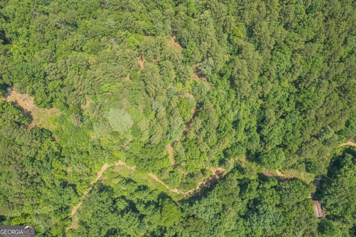 31 Yonah Lake Road Clarkesville, GA 30523 - Photo 41 of 55 a view of a lush green field