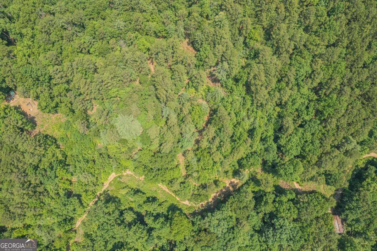 31 Yonah Lake Road Clarkesville, GA 30523 - Photo 42 of 55 a view of a lush green field