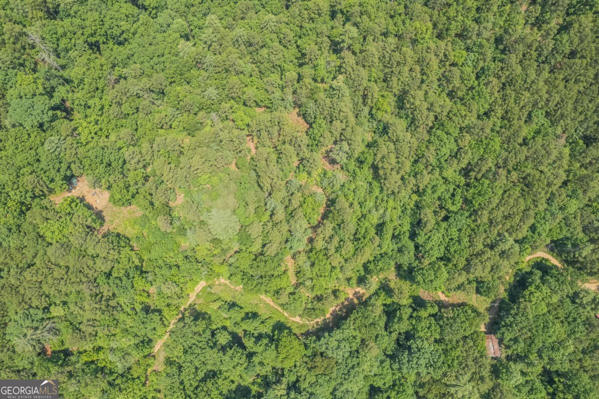31 Yonah Lake Road Clarkesville, GA 30523 - Photo 43 of 55 a view of a lush green field