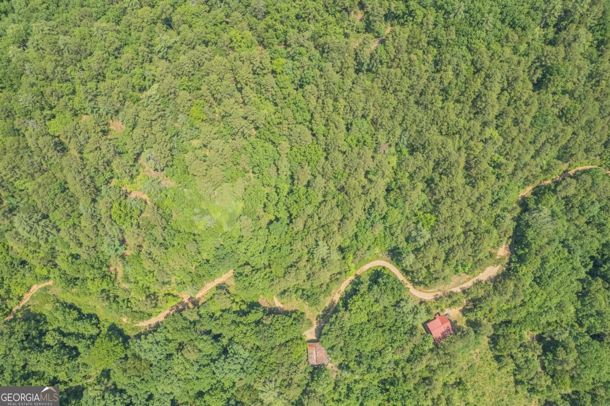 31 Yonah Lake Road Clarkesville, GA 30523 - Photo 45 of 55