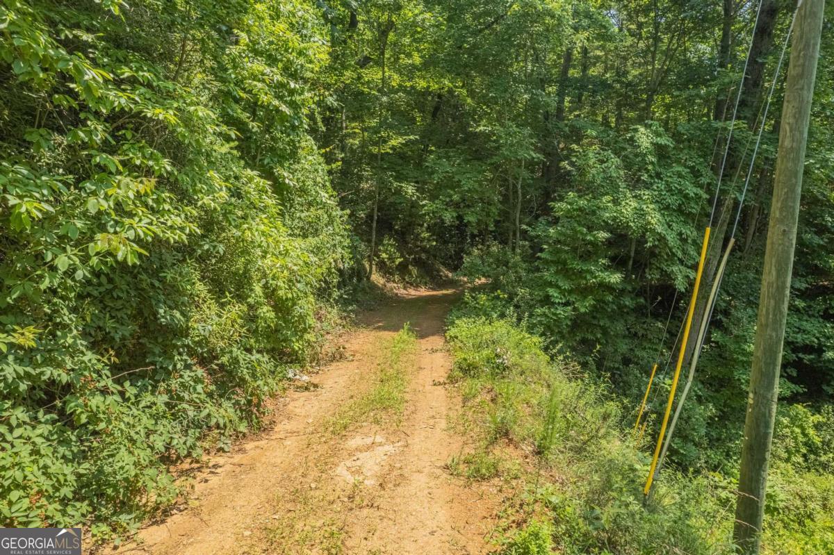 31 Yonah Lake Road Clarkesville, GA 30523 - Photo 46 of 55 a view of a garden