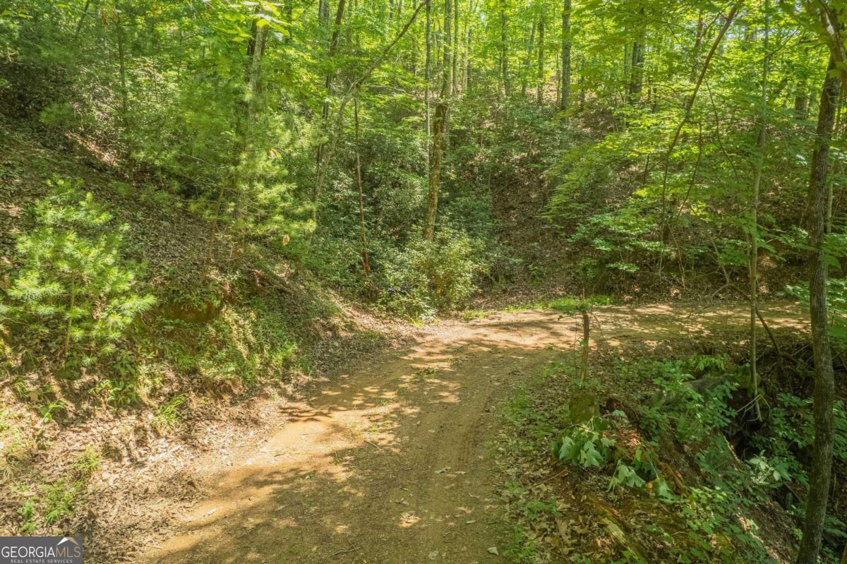 31 Yonah Lake Road Clarkesville, GA 30523 - Photo 47 of 55