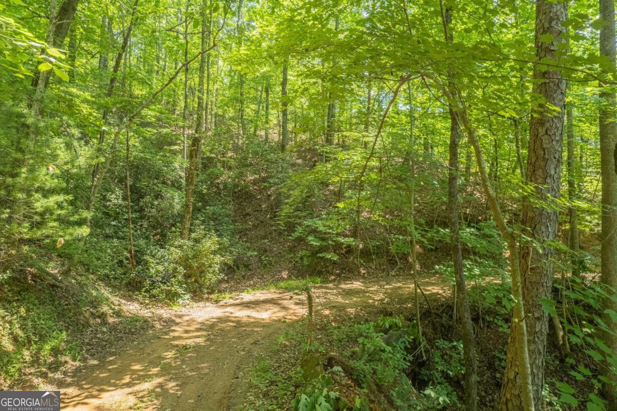 31 Yonah Lake Road Clarkesville, GA 30523 - Photo 48 of 55 a view of a yard