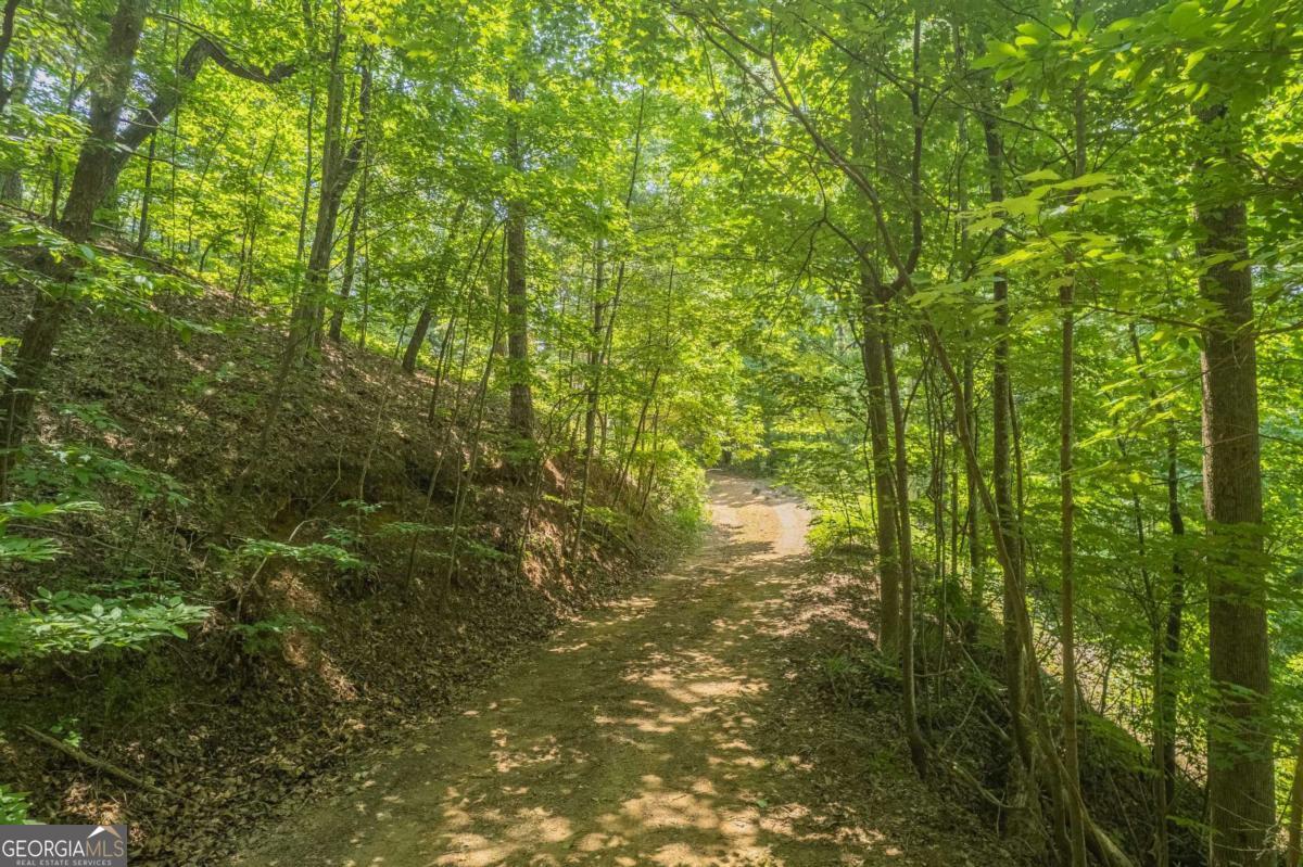 31 Yonah Lake Road Clarkesville, GA 30523 - Photo 49 of 55 a view of a garden from a window