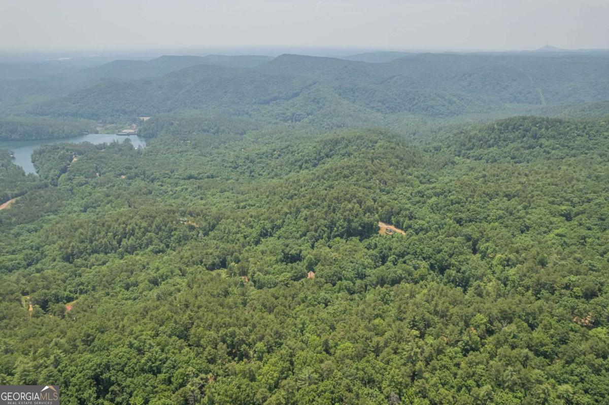 31 Yonah Lake Road Clarkesville, GA 30523 - Photo 50 of 55