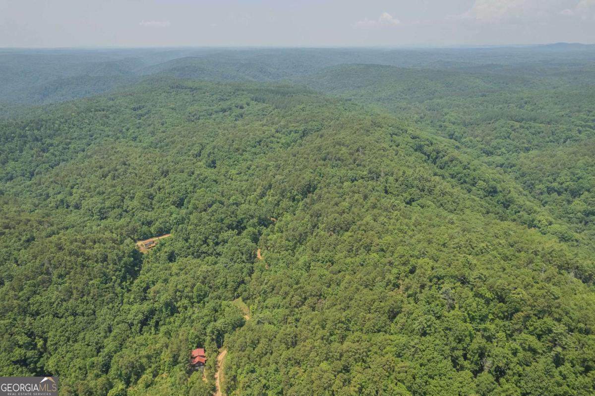 31 Yonah Lake Road Clarkesville, GA 30523 - Photo 51 of 55 a view of a field