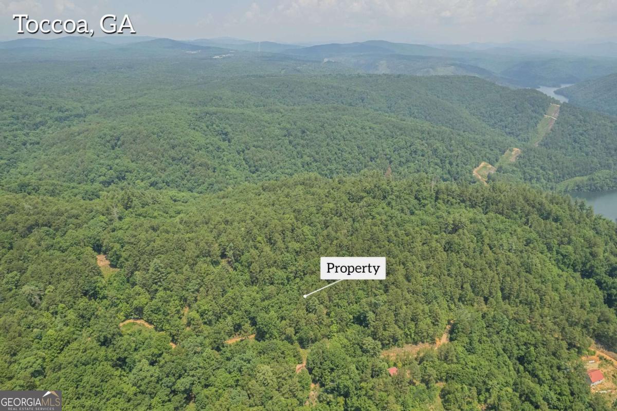 31 Yonah Lake Road Clarkesville, GA 30523 - Photo 53 of 55 a view of a dry yard with an outdoor space
