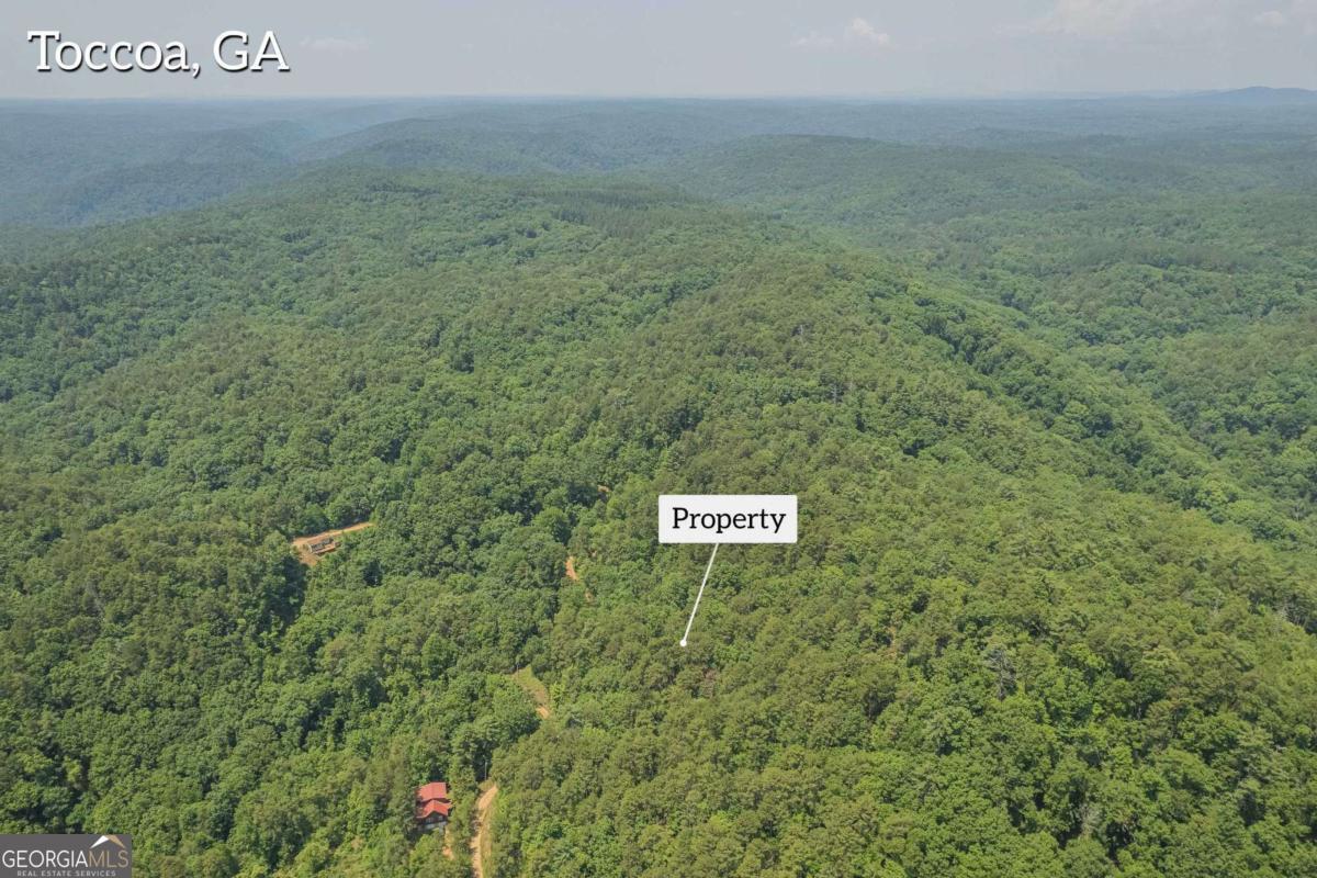 31 Yonah Lake Road Clarkesville, GA 30523 - Photo 54 of 55 a view of a dry yard with trees