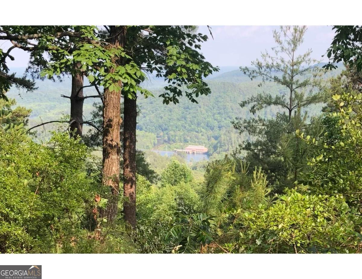31 Yonah Lake Road Clarkesville, GA 30523 - Photo 55 of 55 a view of a tree in a yard
