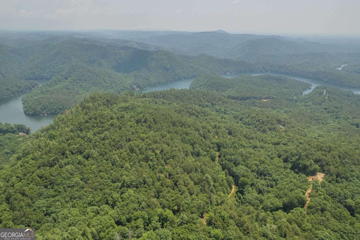 31 Yonah Lake Road Clarkesville, GA 30523 - Photo 6 of 55 a view of a dry yard