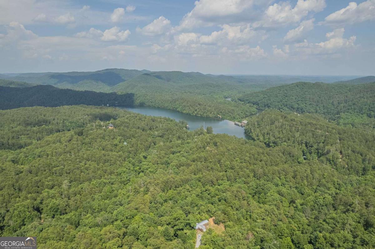 31 Yonah Lake Road Clarkesville, GA 30523 - Photo 7 of 55 a view of a field of grass and trees