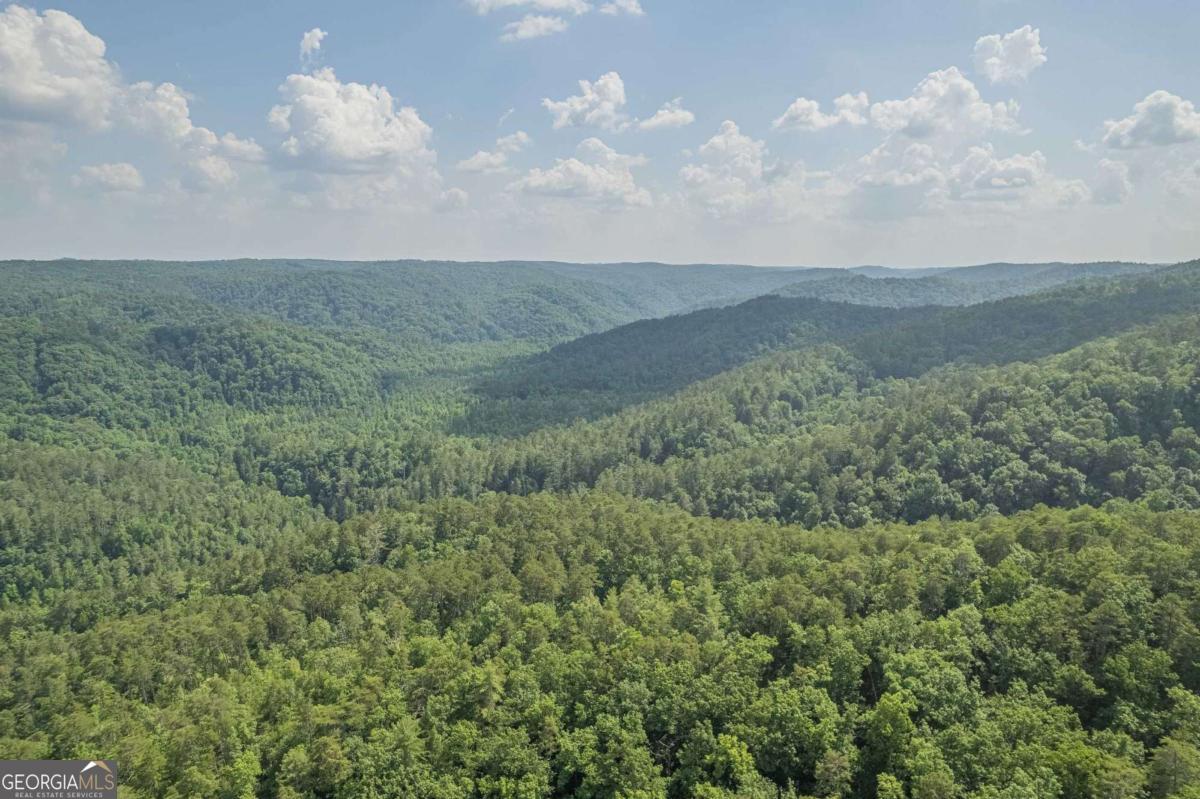 31 Yonah Lake Road Clarkesville, GA 30523 - Photo 8 of 55 a view of a sky