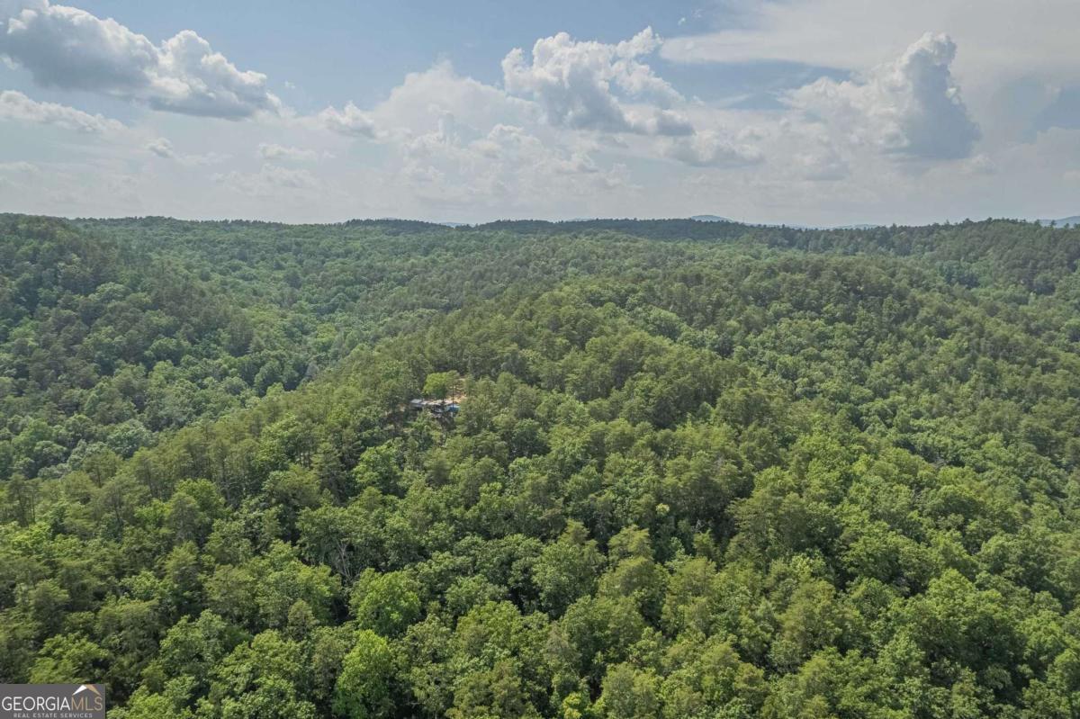 31 Yonah Lake Road Clarkesville, GA 30523 - Photo 9 of 55 a view of a field and trees in the background