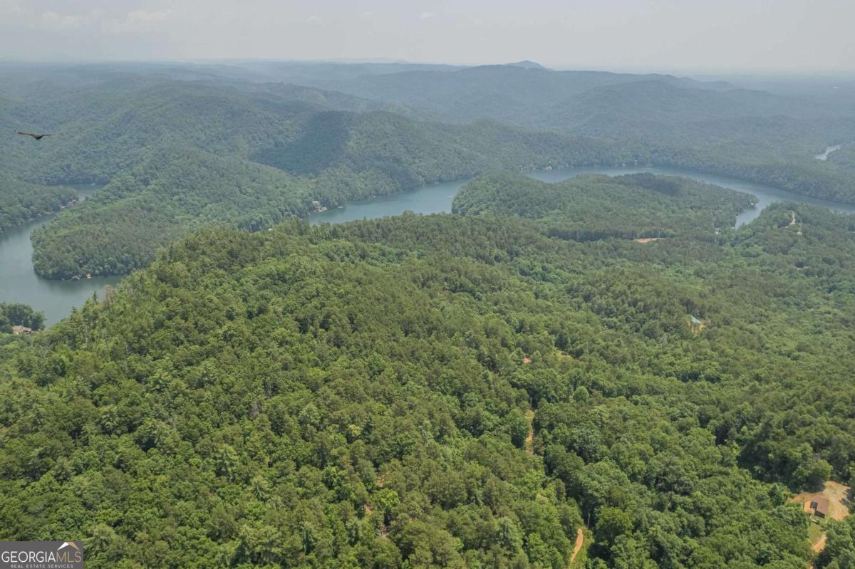 31 Yonah Lake Road Clarkesville, GA 30523 - Photo 10 of 55 a view of a dry yard