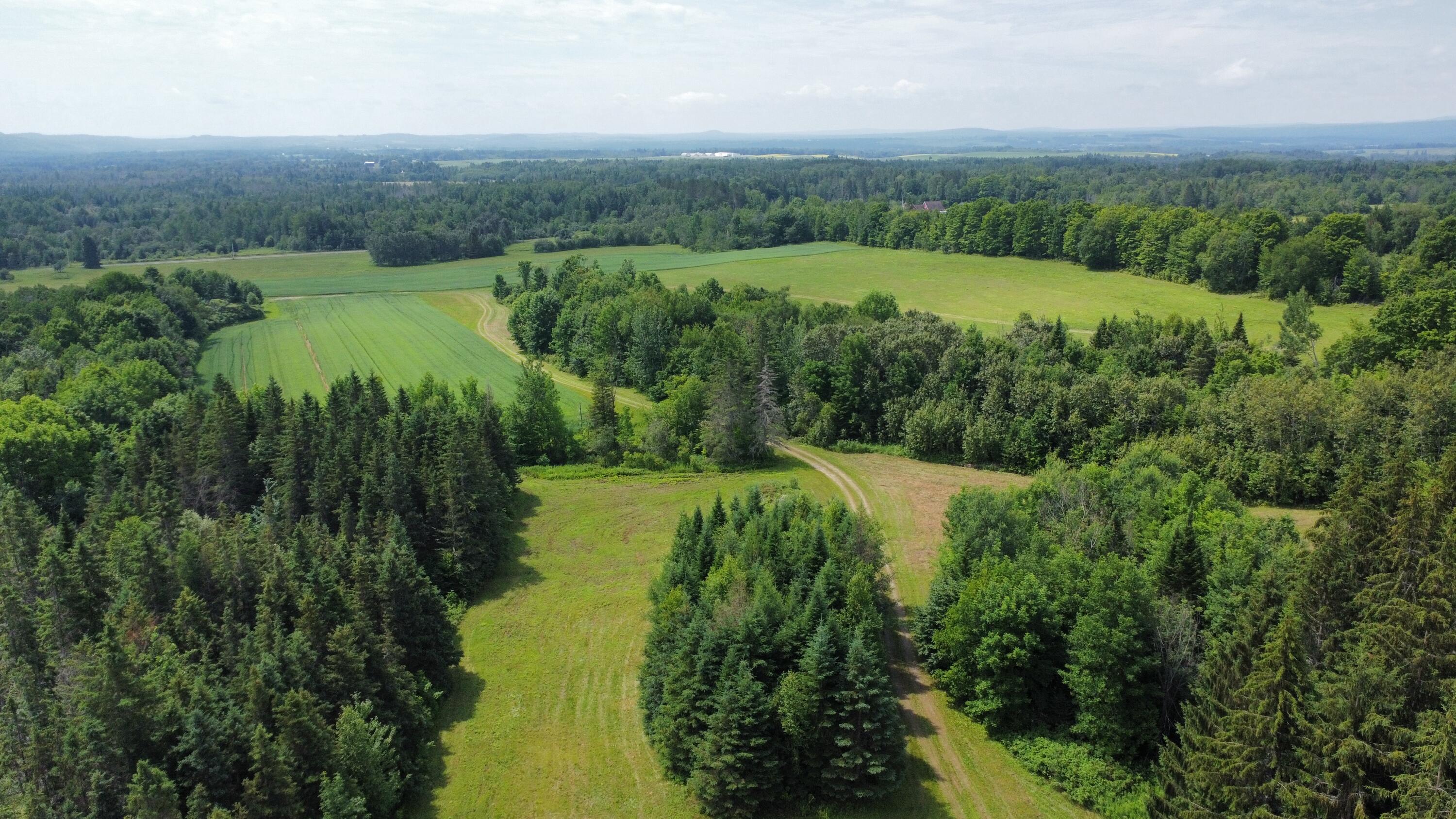 181 Gustin Road Blaine, ME 04734 - Photo 9 of 41 dji_fly_20240705_111300_507_172019238657