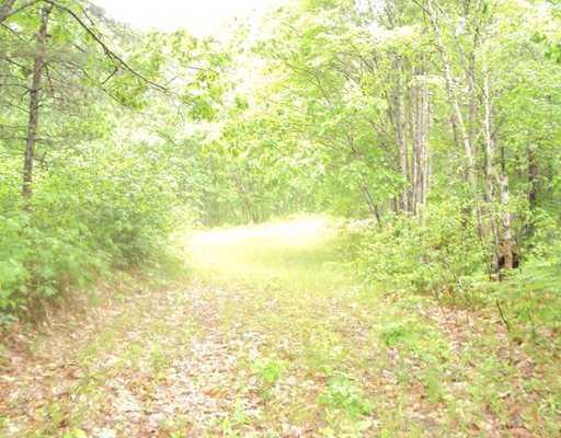 Lot 2 Fish Hatchery Road Deblois, ME 04622 - Photo 5 of 5 Land/Lot.