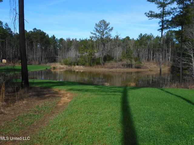 $896,000 | 593 Rocky Hill Road, Pickens, MS 39146