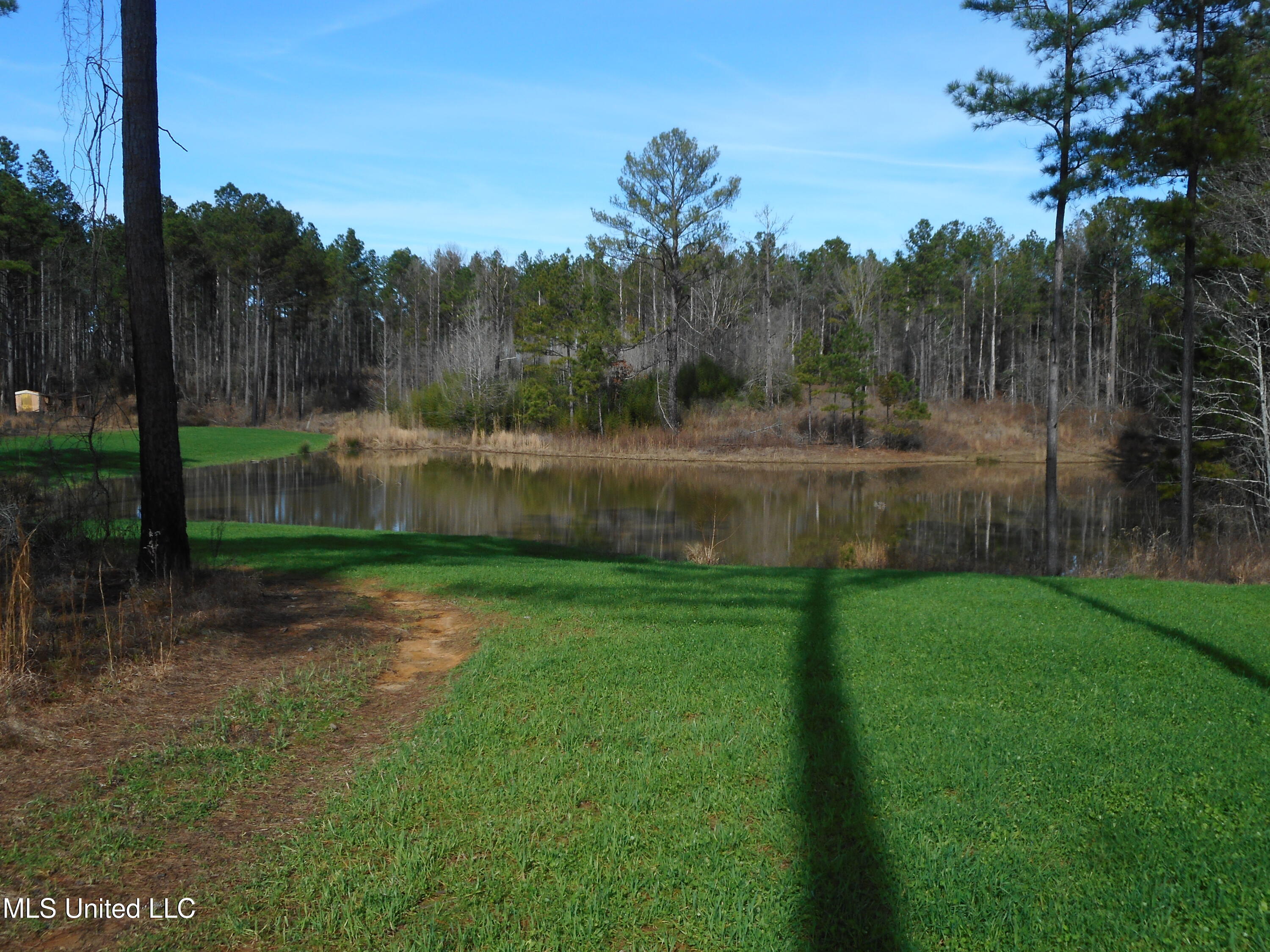 593 Rocky Hill Road Pickens, MS 39146 - Photo 1 of 102 Pond